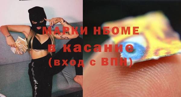 гашик Инта