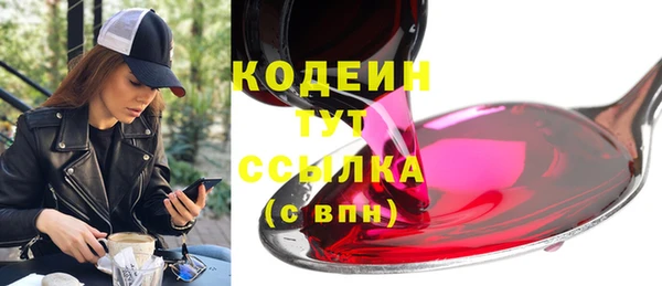 гашик Инта