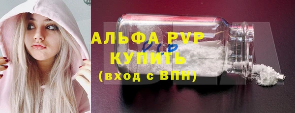 гашик Инта