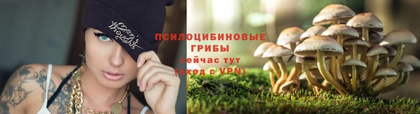 мет Иннополис
