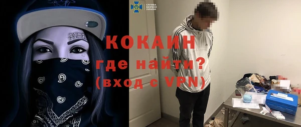 гашик Инта