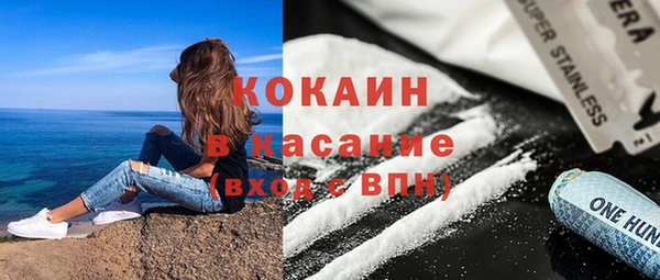 гашик Инта