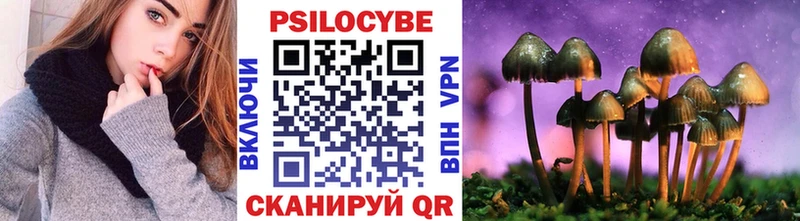 Галлюциногенные грибы Magic Shrooms  Димитровград 